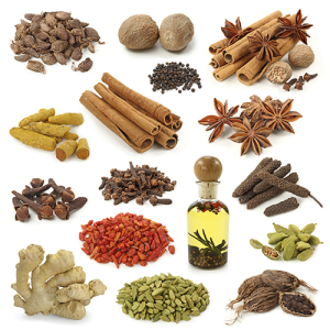 SPICES. THE TASTE OF THE BEST TRADITIONS SINCE 1992